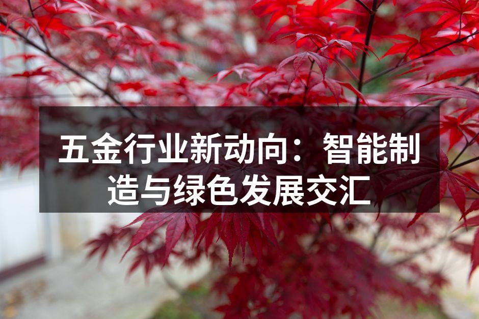 五金行业新动向:智能制造与绿色发展交汇
