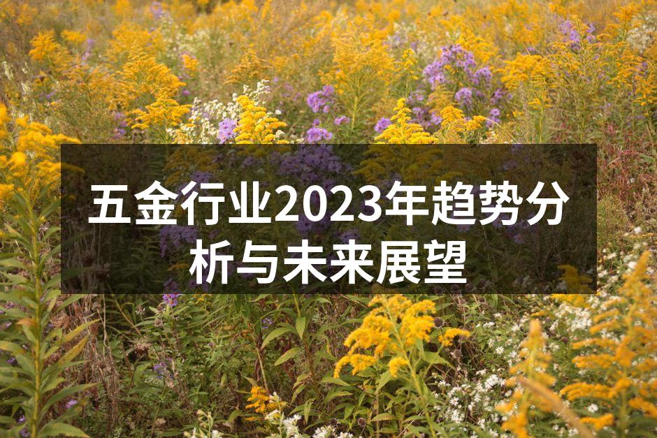 五金行业2023年趋势分析与未来展望
